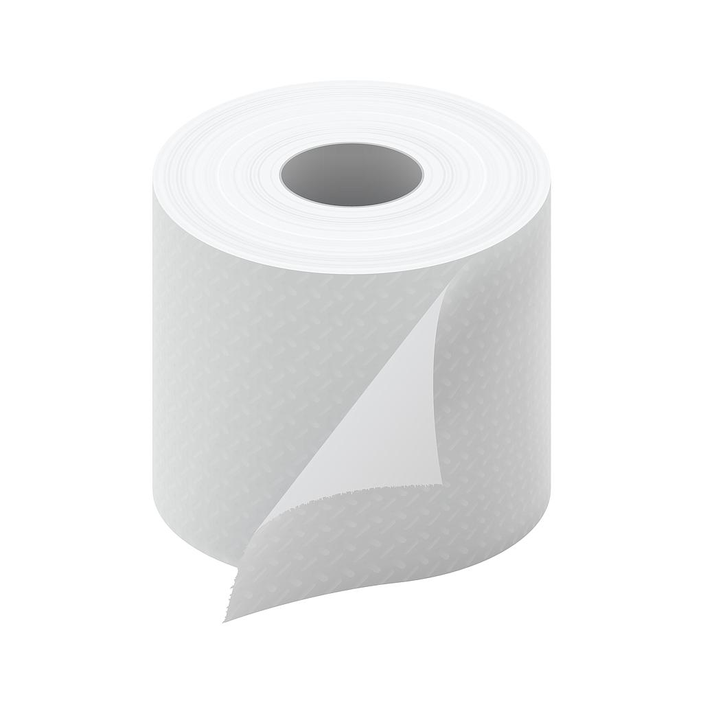 Papier 80 mm Thermo (50 pièces)